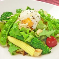 ゴローニャの、おいしい蒸し鶏と温泉玉子のシーザーサラダ